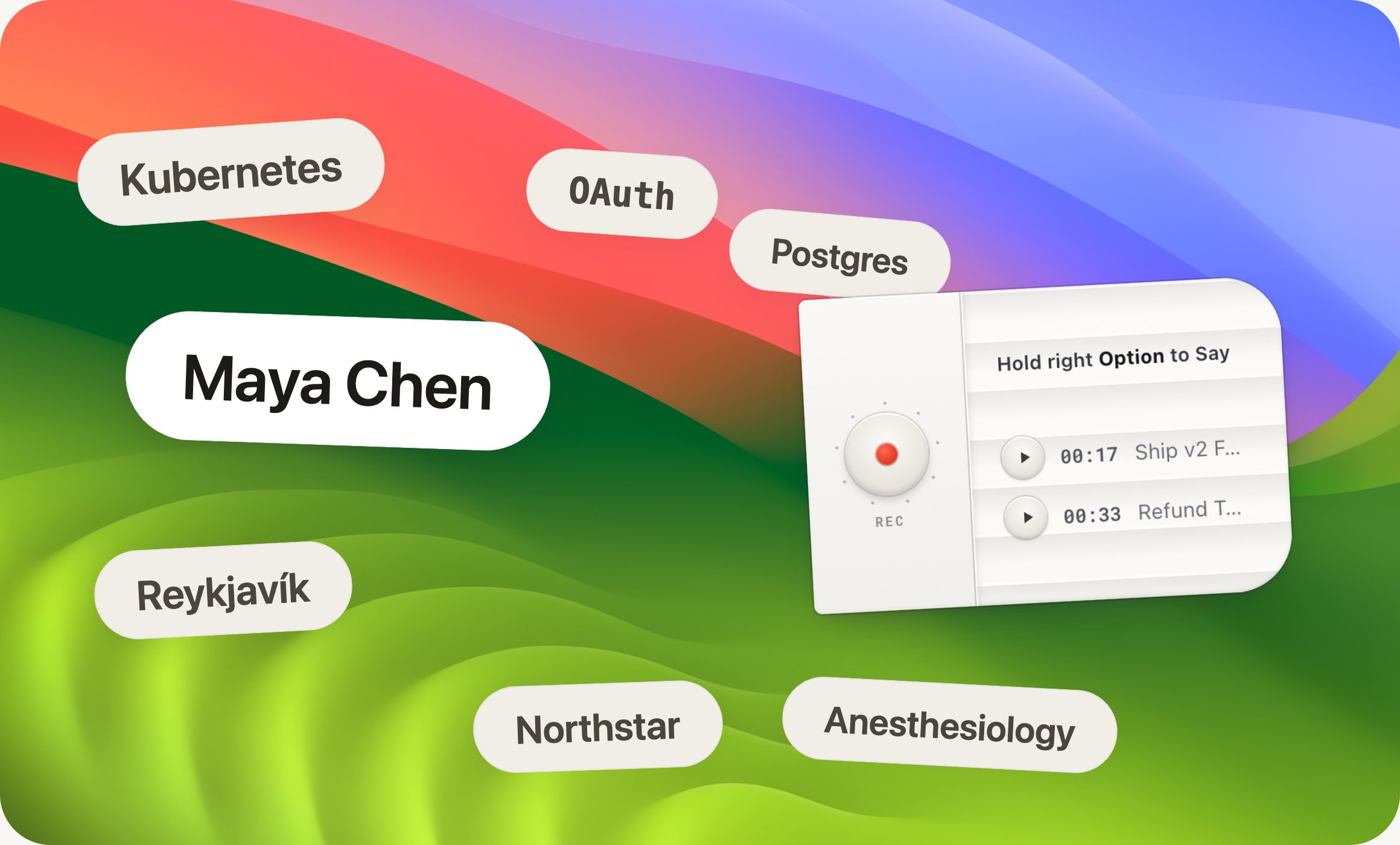 Names, places and technical terms as dictionary entries around the HoldSay voice card